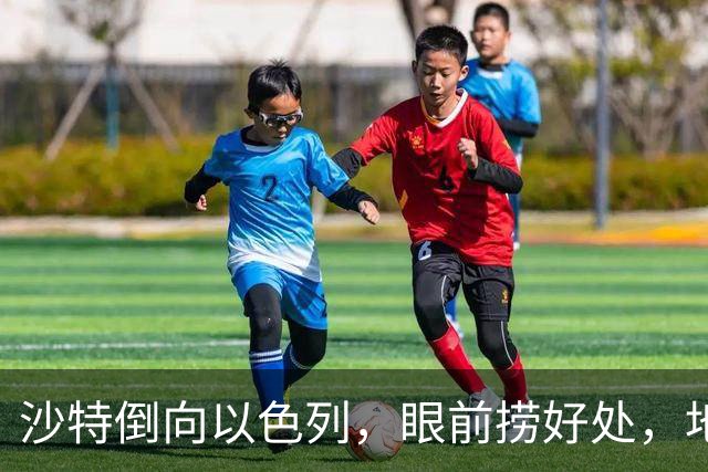 沙特倒向以色列，眼前捞好处，地缘亏得底朝天